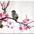 spring-sparrow