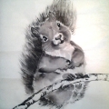 squirell