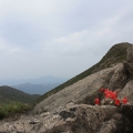 У-син фото весны в горах Фудзяни