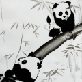 Панды верхолазы
