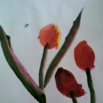 тюльпаны2